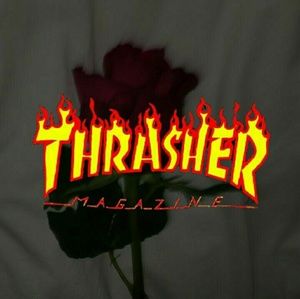 Meet your Posher, Dylan